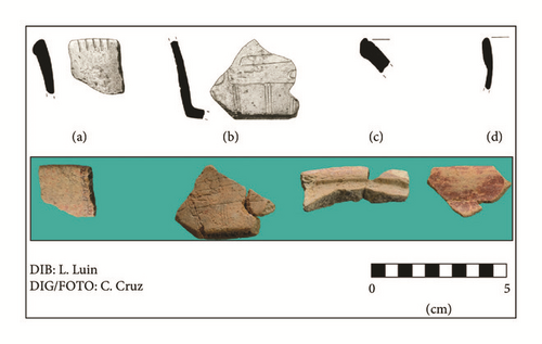 Details are in the caption following the image Details are in the caption following the image
