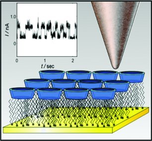 Electron-Induced Dynamics of Heptathioether β-Cyclodextrin Molecules