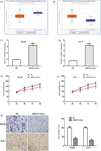 Details are in the caption following the image Details are in the caption following the image