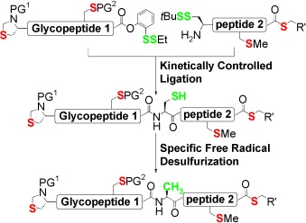 Free-Radical-Based, Specific Desulfurization of Cysteine: A Powerful Advance in the Synthesis of Polypeptides and Glycopolypeptides