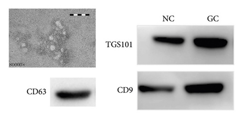 Details are in the caption following the image