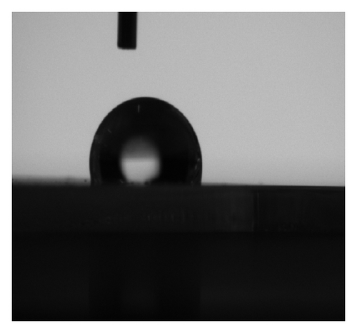 Details are in the caption following the image