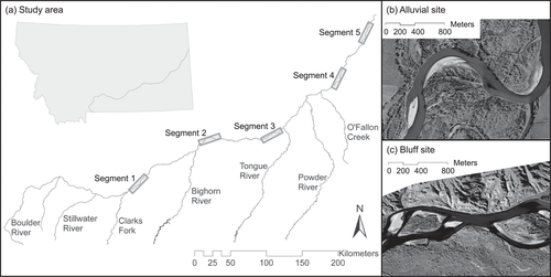 Details are in the caption following the image