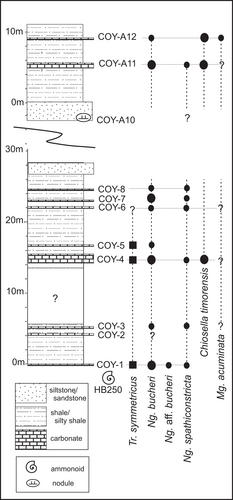 Details are in the caption following the image Details are in the caption following the image