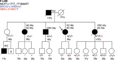 Co-occurrence of germline pathogenic variants for different hereditary cancer syndromes in patients with Lynch syndrome