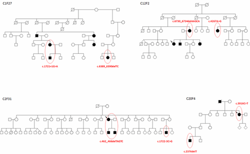 Details are in the caption following the image Details are in the caption following the image