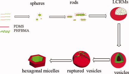 Regular polygonal micelles induced from fluorosilicone diblock copolymers