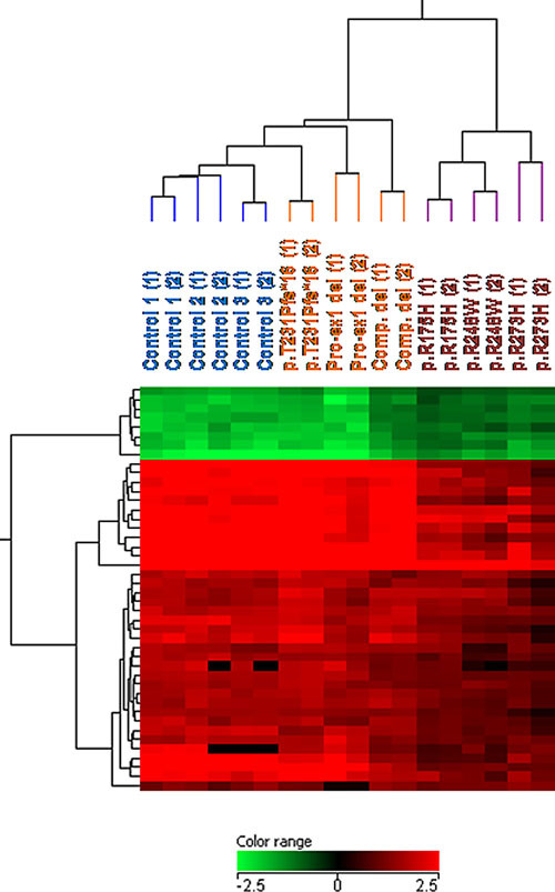 Drastic Effect of Germline TP53 Missense Mutations in Li–Fraumeni Patients