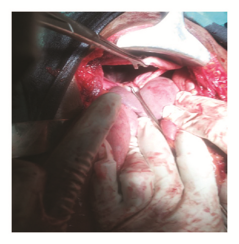 Details are in the caption following the image Details are in the caption following the image
