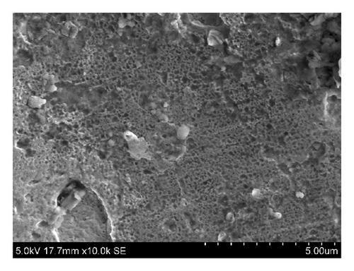 Details are in the caption following the image