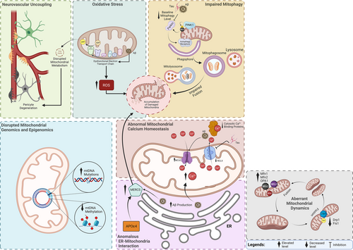 Details are in the caption following the image Details are in the caption following the image