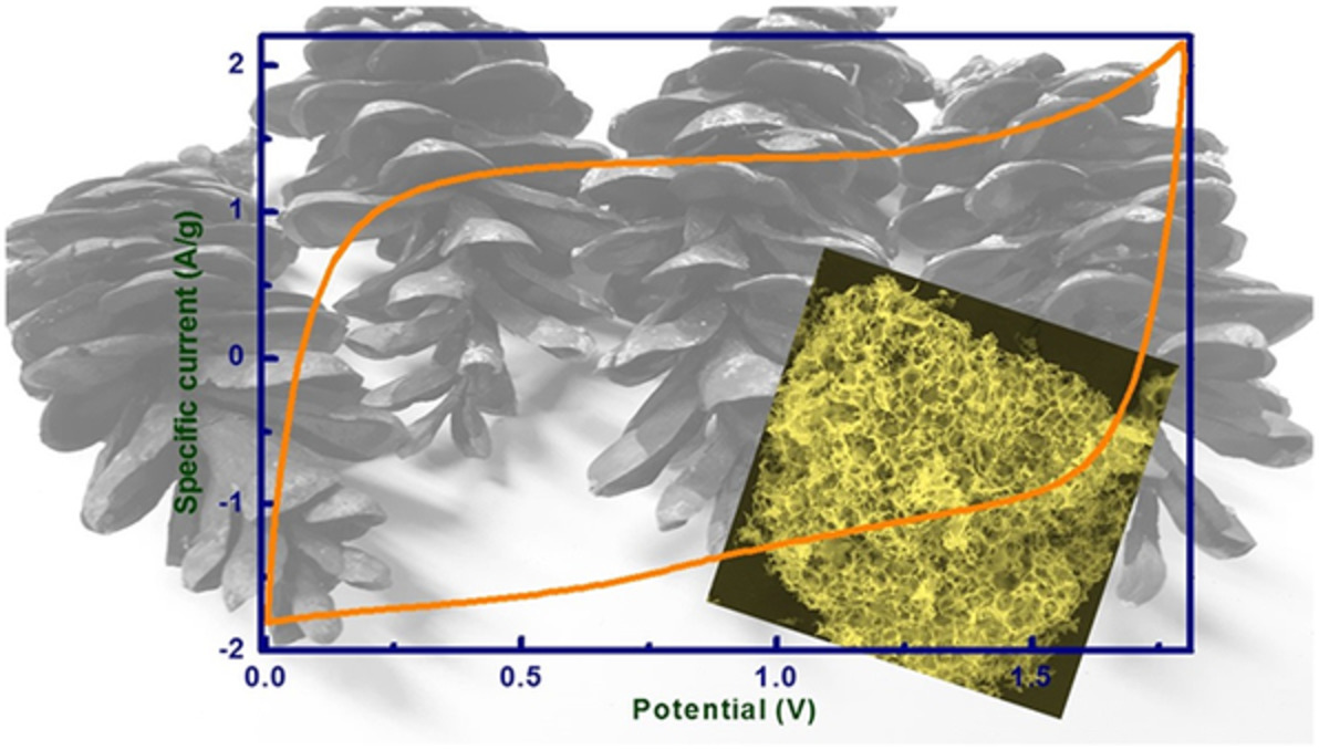 Pinecone biomass-derived activated carbon: the potential electrode material for the development of symmetric and asymmetric supercapacitors