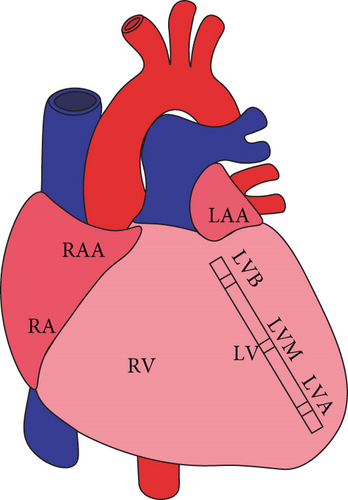 Details are in the caption following the image