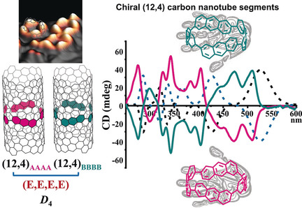 Selective Synthesis of Conjugated Chiral Macrocycles: Sidewall Segments of (−)/(+)-(12,4) Carbon Nanotubes with Strong Circularly Polarized Luminescence
