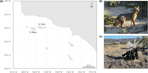 Details are in the caption following the image Details are in the caption following the image