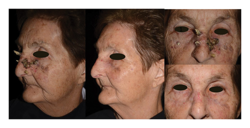 Details are in the caption following the image Details are in the caption following the image