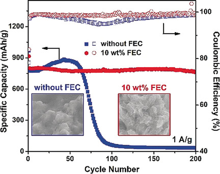 Fluoroethylene Carbonate Enabling a Robust LiF-rich Solid Electrolyte Interphase to Enhance the Stability of the MoS2 Anode for Lithium-Ion Storage