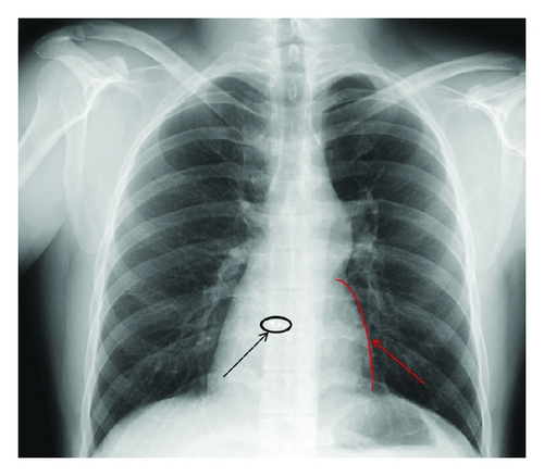 Details are in the caption following the image Details are in the caption following the image