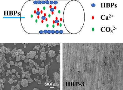 Synthesis and characterization of PBTCA-modified hyperbranched polyether corrosion and scale inhibitors