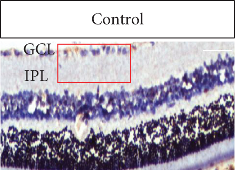 Details are in the caption following the image