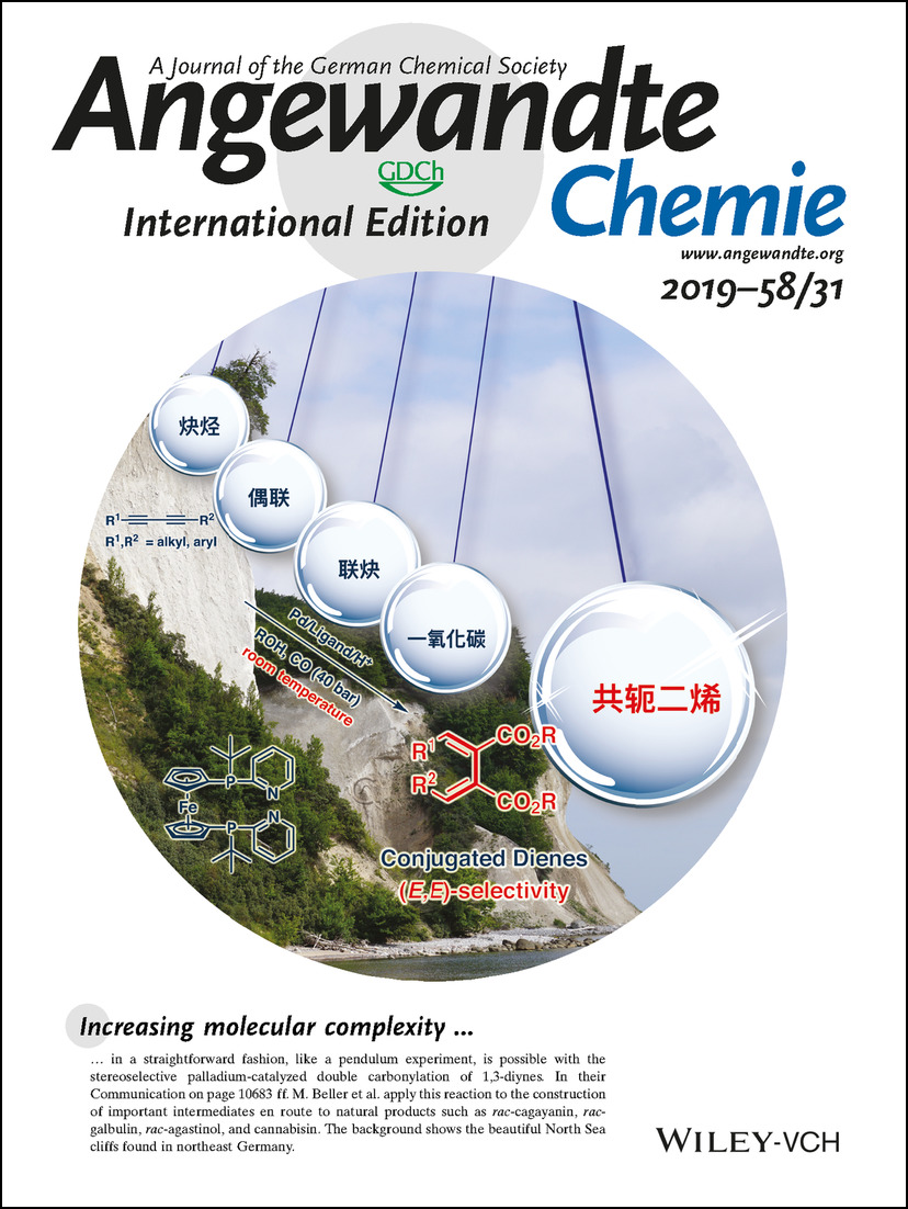 Inside Cover: Stereoselective Synthesis of Highly Substituted Conjugated Dienes via Pd-Catalyzed Carbonylation of 1,3-Diynes (Angew. Chem. Int. Ed. 31/2019) Volume 58 Issue 31, 2019