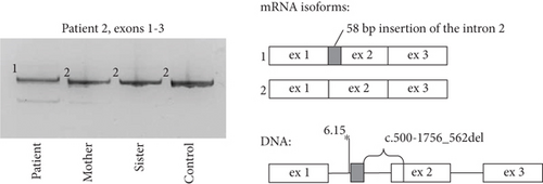 Details are in the caption following the image Details are in the caption following the image