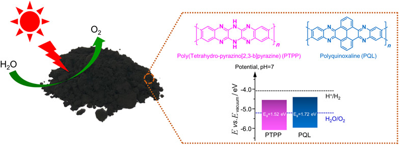 Fully Conjugated Ladder Polymers as Metal-Free Photocatalysts for Visible-Light-Driven Water Oxidation