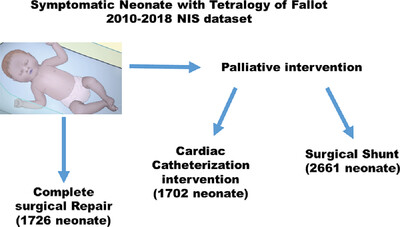 Outcomes of complete surgical repair versus palliative intervention in neonates with Tetralogy of Fallot