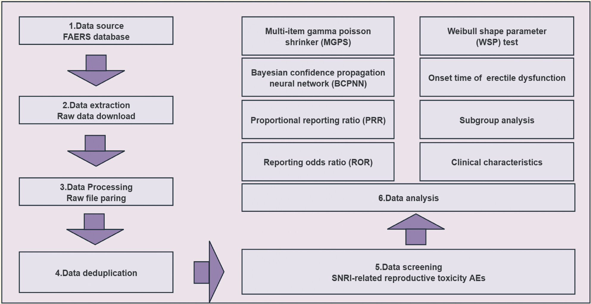 Reproductive Toxicity Induced by Serotonin-Norepinephrine Reuptake Inhibitors: A Pharmacovigilance Analysis From 2004 to 2023 Based on the FAERS Database
