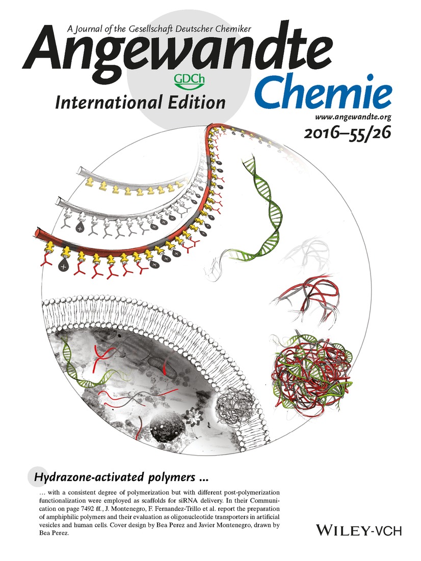 Back Cover: In Situ Functionalized Polymers for siRNA Delivery (Angew. Chem. Int. Ed. 26/2016) Volume 55 Issue 26, 2016