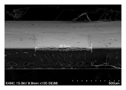 Details are in the caption following the image
