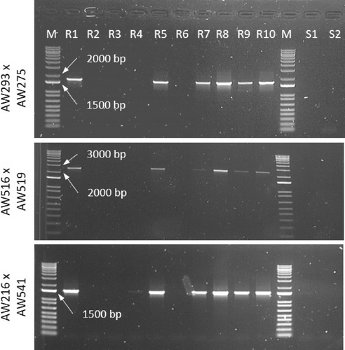 Details are in the caption following the image Details are in the caption following the image
