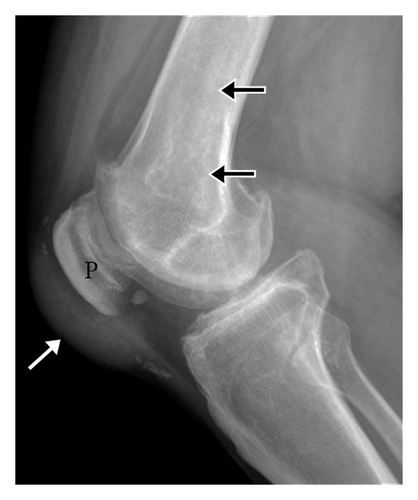 Details are in the caption following the image