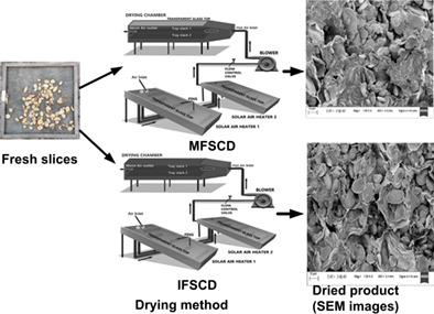 Performance comparison of mixed mode and indirect mode parallel flow forced convection solar driers for drying Curcuma zedoaria