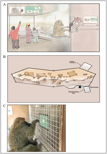 Details are in the caption following the image Details are in the caption following the image