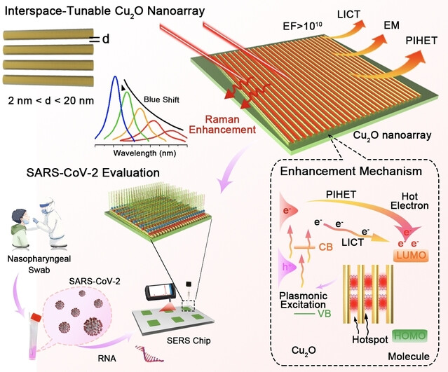 Plasmon-Induced Charge Transfer-Enhanced Raman Scattering on a Semiconductor: Toward Amplification-Free Quantification of SARS-CoV-2