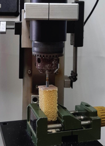Details are in the caption following the image Details are in the caption following the image