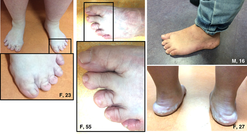 Details are in the caption following the image Details are in the caption following the image
