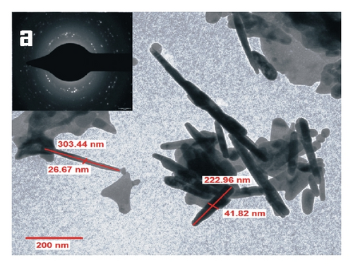 Details are in the caption following the image