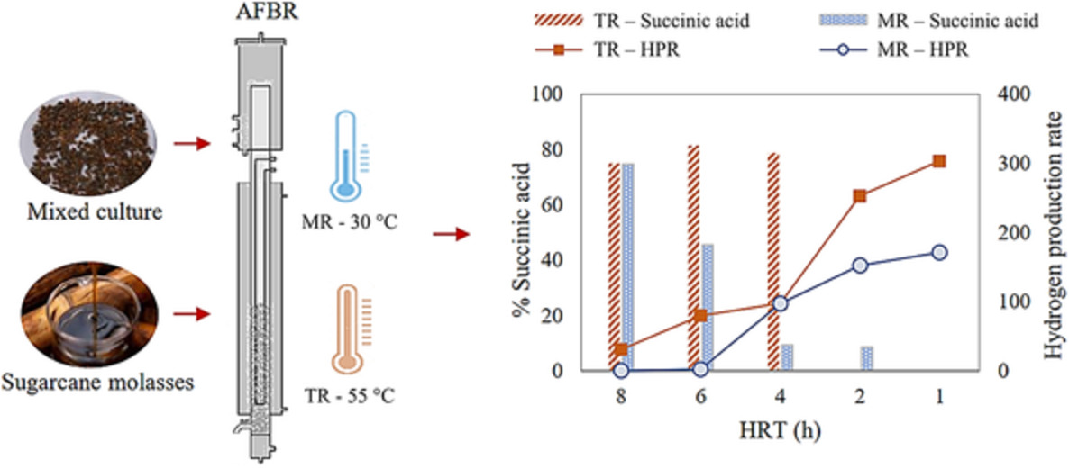 Improved dark fermentation of cane molasses in mesophilic and thermophilic anaerobic fluidized bed reactors by selecting operational conditions