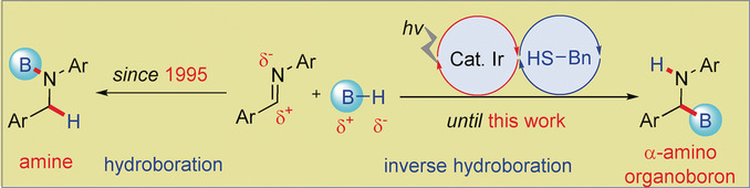 Synergistic Photoredox Catalysis and Organocatalysis for Inverse Hydroboration of Imines