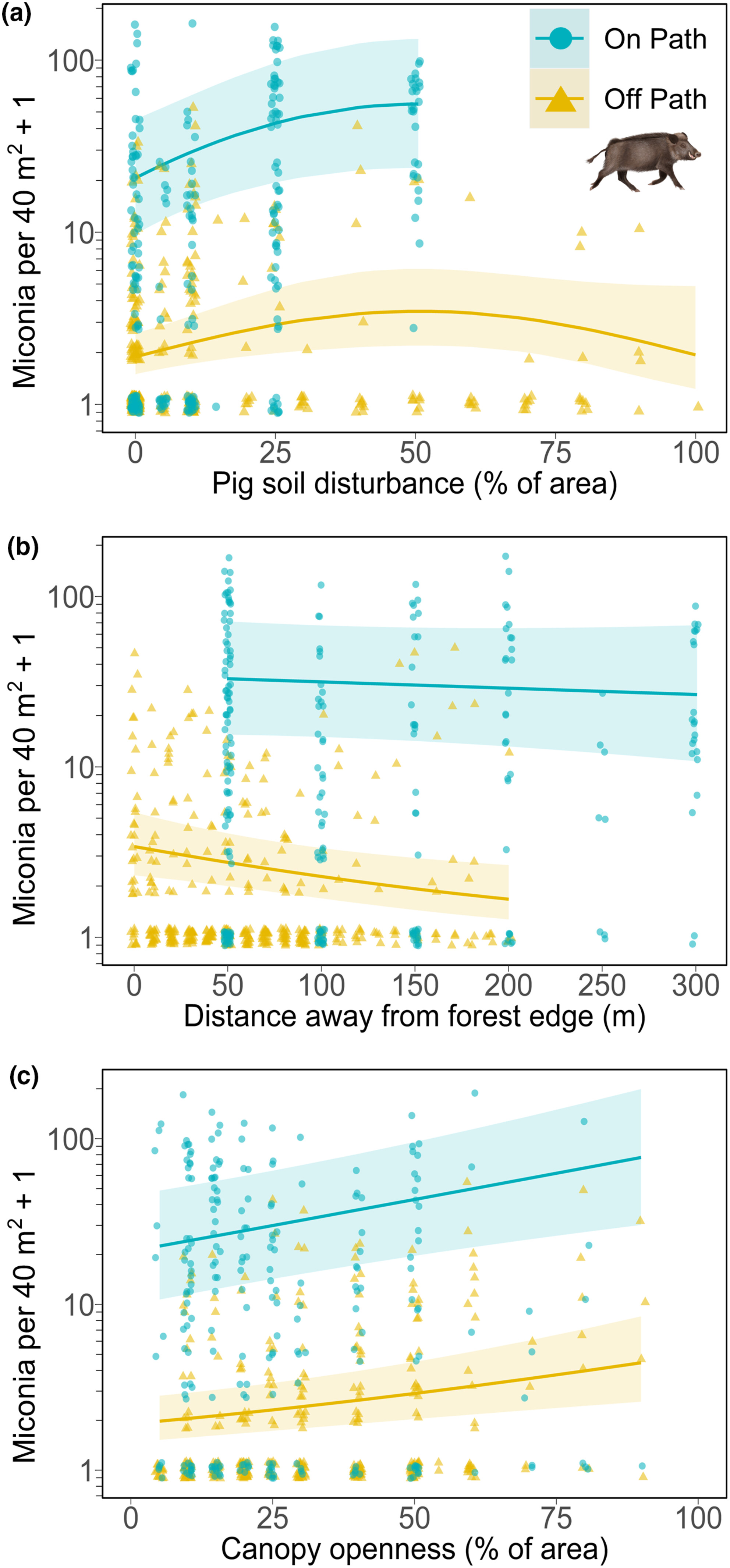 Recolonizing native wildlife facilitates exotic plant invasion into Singapore's rain forests