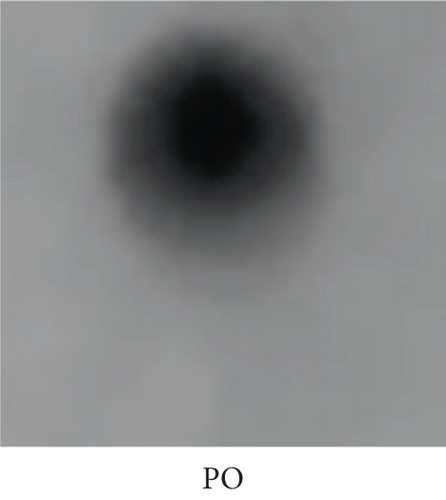 Details are in the caption following the image Details are in the caption following the image