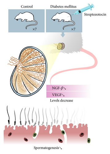 Details are in the caption following the image