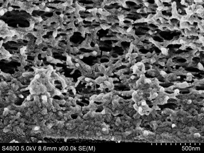 Polyvinyl Butyral/Modified SiO2 Nanoparticle Membrane for Gasoline Desulfurization by Pervaporation