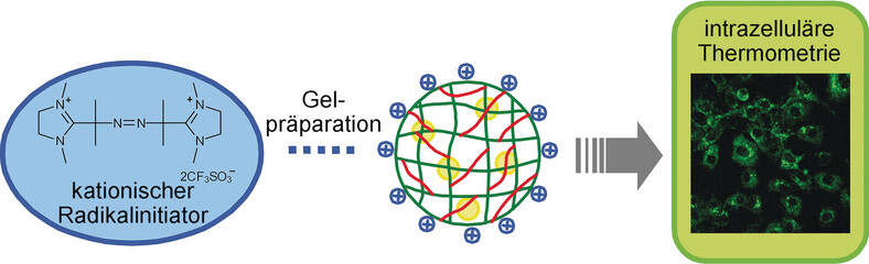 A Cell-Targeted Non-Cytotoxic Fluorescent Nanogel Thermometer Created with an Imidazolium-Containing Cationic Radical Initiator