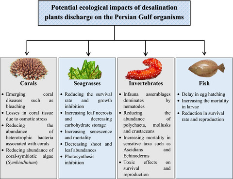Prevention is better than cure: Persian Gulf biodiversity vulnerability to the impacts of desalination plants