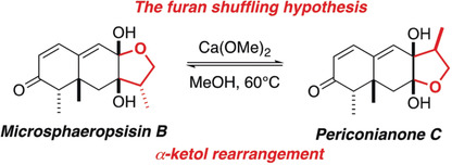 The Furan Shuffling Hypothesis: A Biogenetic Proposal for Eremophilane Sesquiterpenoids