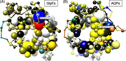 Details are in the caption following the image Details are in the caption following the image