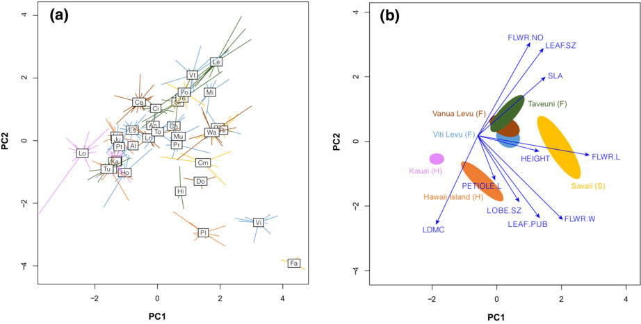 Phylogenetic and functional trait-based community assembly within Pacific Cyrtandra (Gesneriaceae): Evidence for clustering at multiple spatial scales